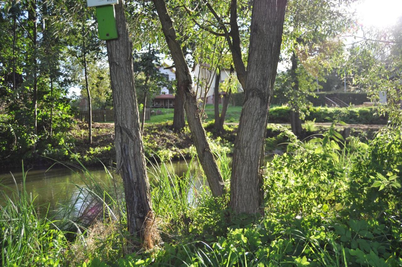 Mlyn Wodny Eko Hillar Villa Rybno  Exterior photo
